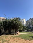 2026-06-07 10.19.52.jpg